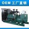 康明斯柴油發電機組制造和工程專家 15161062926