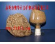 那個品牌好，批發