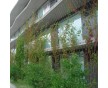 塑料植物攀爬網(wǎng)，塑料植物支架網(wǎng)