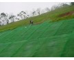 三維植被網墊施工方法-18605480055