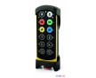 瑞典Tele Radio泰瑞工業遙控器