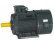 YVF高精度調(diào)速三相異步電動機供應(yīng)商