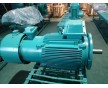 YBPTE變頻防爆制動三異步電機