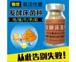 啟富發(fā)酵床技術(shù)提示：發(fā)酵床成功的關(guān)鍵在于菌種的選擇！