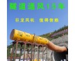 隧道塑料行業(yè)風(fēng)風(fēng)機(jī)維修動平衡