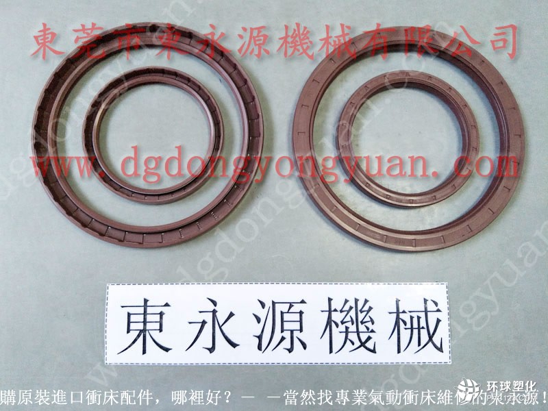 聯(lián)興沖床橡膠圈， SANDSUN油泵PB14 -過載泵維修_找東永源